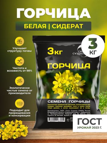 Семена горчицы Сила Суздаля 3 кг, крупный план