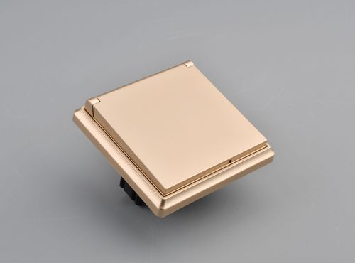 Розетка электрическая 1 пост ALTECH ENCORE 1SY IP44 шампань, вид