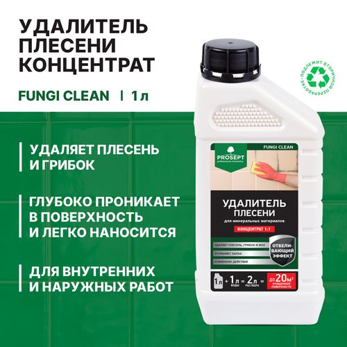 Удалитель плесени PROSEPT fungi clean 1л, детальное фото