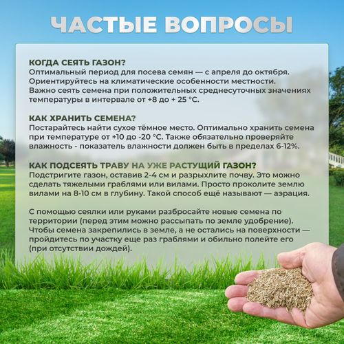 Газонная трава Овсяница тростниковая Сила Суздаля 1 кг, детальное фото