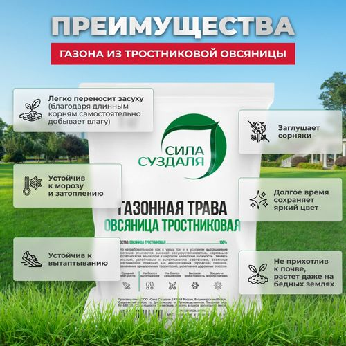 Газонная трава Овсяница тростниковая Сила Суздаля 1 кг, детальное фото