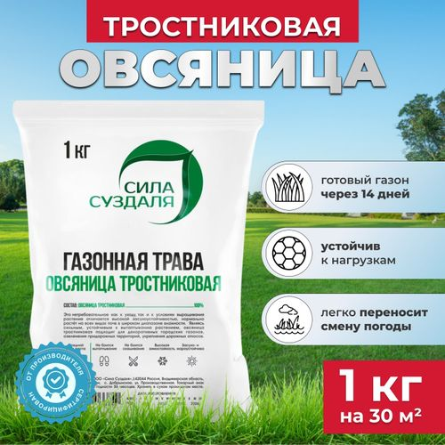 Газонная трава Овсяница тростниковая Сила Суздаля 1 кг, фото