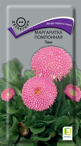 Семена Маргаритка помпонная Пинк 0,05 гр, детальное фото