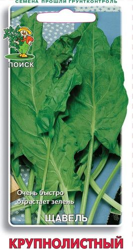 Семена щавель крупнолистный, крупный план