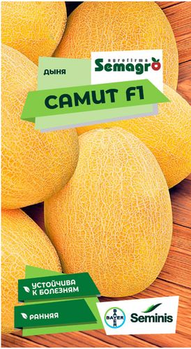 Семена дыни SEMINIS САММИТ F1, фотография