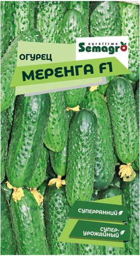 Семена огурца SEMINIS МЕРЕНГА F1, картинка