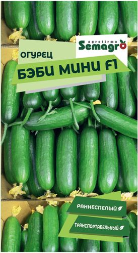 Семена огурца SEMINIS БЭБИ МИНИ F1, фотография