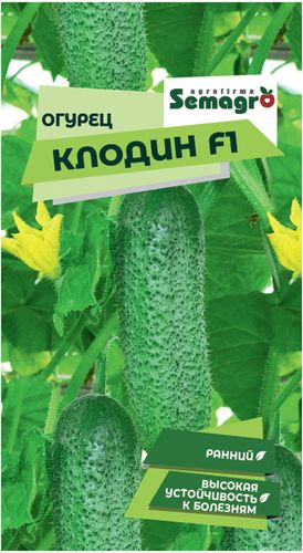 Семена огурца SEMINIS КЛОДИН F1, картинка