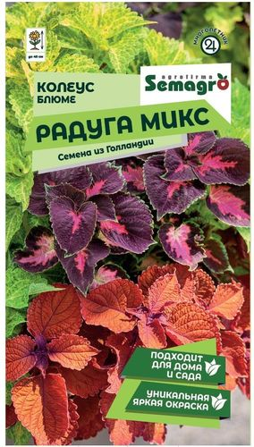 Семена Колеуса SEMAGRO Блюме Радуга Многоцветный 0,1 г, вид
