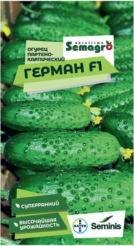 Семена огурца SEMINIS ГЕРМАН F1, вид