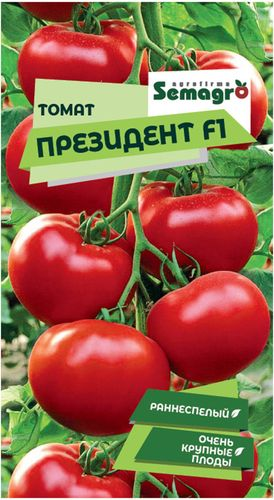 Семена томата SEMINIS ПРЕЗИДЕНТ F1, крупный план