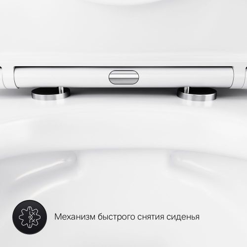 Подвесной унитаз AM.PM Sense Flashclean, фотография