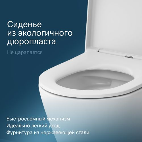 Подвесной унитаз AM.PM Sense Flashclean, изображение