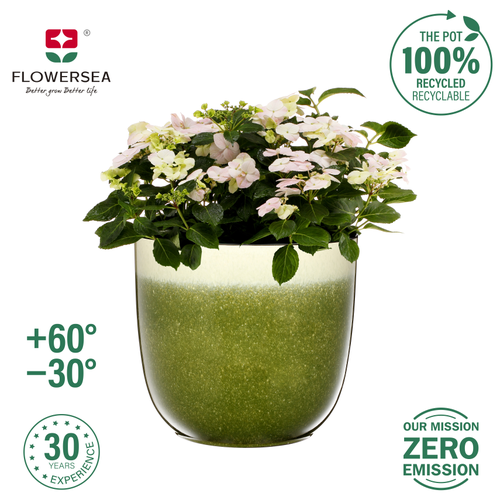Кашпо для цветов FLOWERSEA Fern 16х16х14,3см, зеленое, Арт. 200050742, изображение