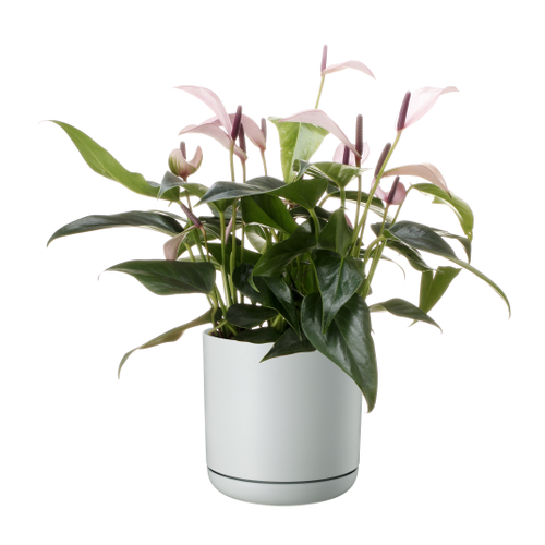 Кашпо для цветов FLOWERSEA Oleander 19х19х19,2см, белое, Арт. 200960219, фото
