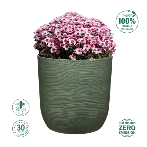 Кашпо FLOWERSEA Cactus 35х35х35см, лесная зелень, Арт. 600080002-1, крупный план