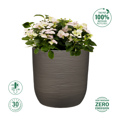 Кашпо FLOWERSEA Cactus 35х35х35см, темно-серое, Арт. 600080002-3, фотография