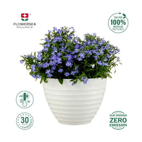 Кашпо FLOWERSEA Darvin 26х26х19см, цвет белый камень, Арт. 601080001-1, детальное фото