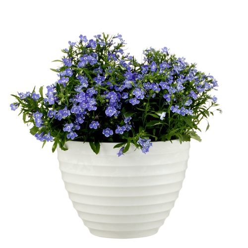Кашпо FLOWERSEA Darvin 26х26х19см, цвет белый камень, Арт. 601080001-1, вид