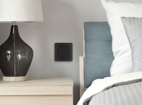 Выключатель 1-клавишный Legrand Inspiria антрацит, изображение