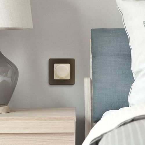 Диммер Legrand Inspiria слоновая кость, вид