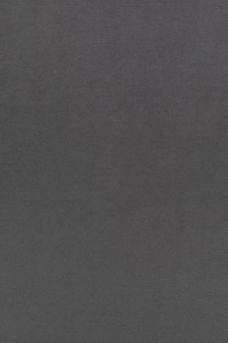 Штора портьерная Legrand Канвас 200x280 см, уголь, крупный план