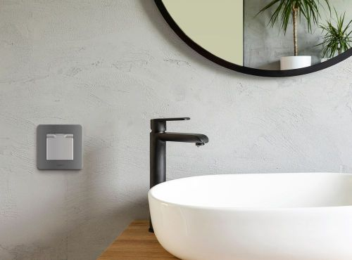 Розетка электрическая Legrand Inspiria 673742 алюминий, изображение