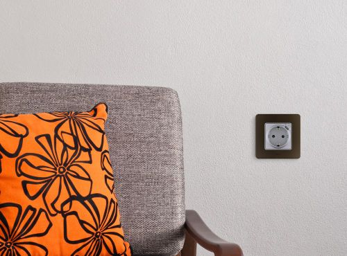 Розетка электрическая,USB Type-C 1 пост Legrand Inspiria алюминий, фотография