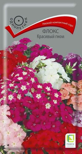 Семена Флокс Красивый гном 0,2 г, изображение