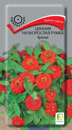 Семена Цинния низкорослая Румба Красная 0,1 гр, крупный план