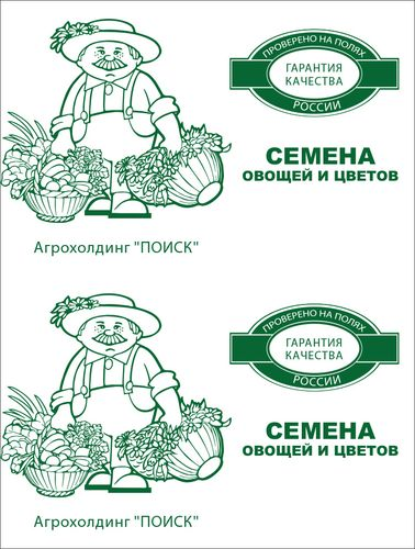 Семена Астра Гигантские лучи Смесь окрасок 0,3 гр 10x8 см, изображение
