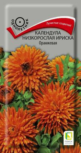 Семена Календула низкорослая Ириска оранжевая 10 шт, детальное фото