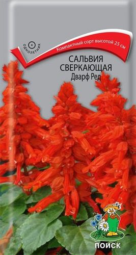 Семена Сальвия Сверкающая дварф ред 0,1 г, картинка