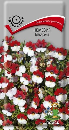 Семена Немезия Макарена 0,05 г, вид