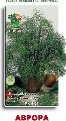 Семена Укропа ПОИСК Аврора 2 г, крупный план