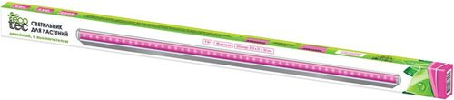 Настольный светильник ECOTEC 266027 LED, картинка
