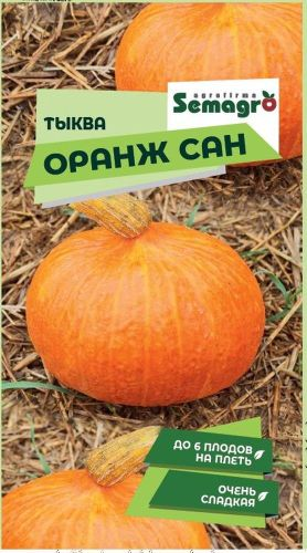 Семена Тыквы SEMAGRO Оранж сан, вид