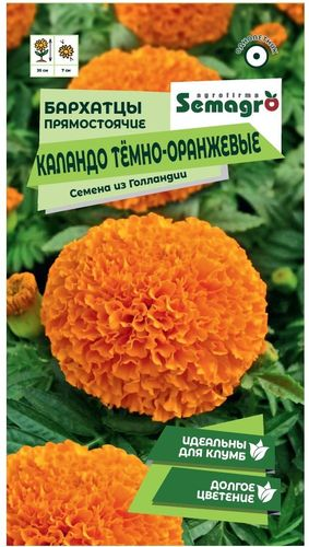 Семена Бархатца SEMAGRO прямостоячие Каландо темно-оранжевые 15 шт, вид