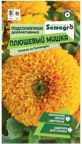 Семена Подсолнечника SEMAGRO Плюшевый мишка 0,5 г, изображение