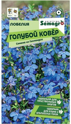 Семена Лобелии SEMAGRO Голубой ковер 0,1 г, крупный план