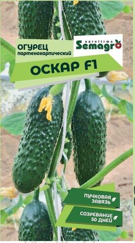 Семена Огурца партенокарпического SEMAGRO Оскар F1, картинка