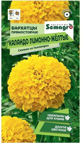 Семена Бархатца SEMAGRO прямостоячие Каландо лимонно-жёлтые 15 шт, фото