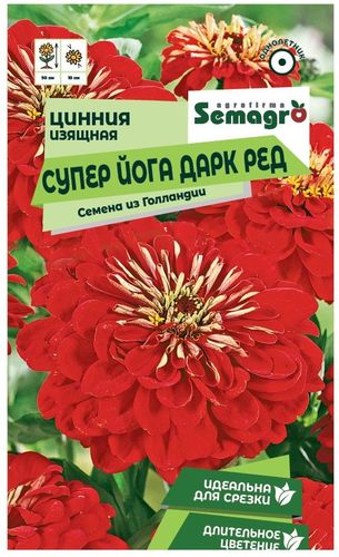 Семена Цинии изящной SEMAGRO Супер Йога Дарк Ред 20 шт, крупный план