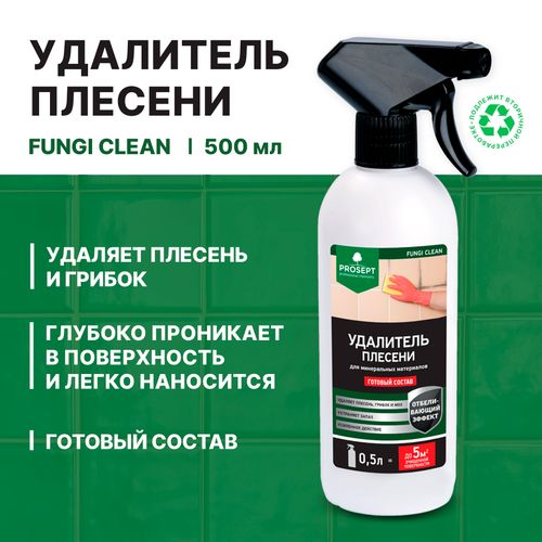 Удалитель плесени PROSEPT FUNGI CLEAN готовый состав / 0,5 л, изображение