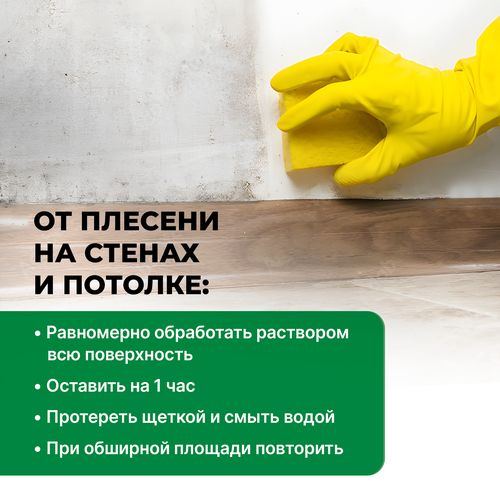 Удалитель плесени PROSEPT FUNGI CLEAN готовый состав / 0,5 л, вид