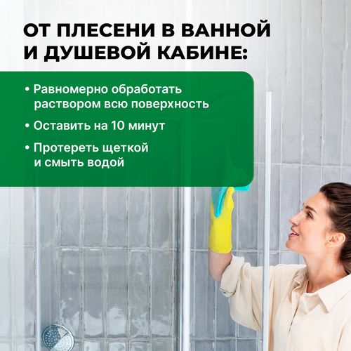 Удалитель плесени PROSEPT FUNGI CLEAN готовый состав / 0,5 л, фото
