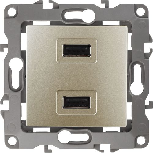 12-4110-04 ЭРА12 Устройство зарядное USB шампань, крупный план