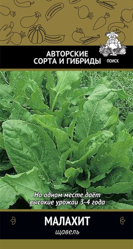 Семена щавель малахит, картинка