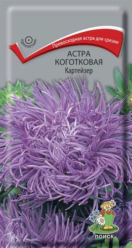 Семена Астра Коготковая Картейзер 0,3 г, вид