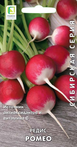 Семена редис ромео, детальное фото